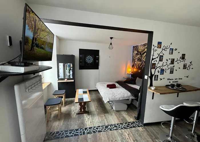 Studio Monistrol Sur Loire