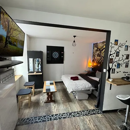 Studio Monistrol Sur Loire Extérieur photo